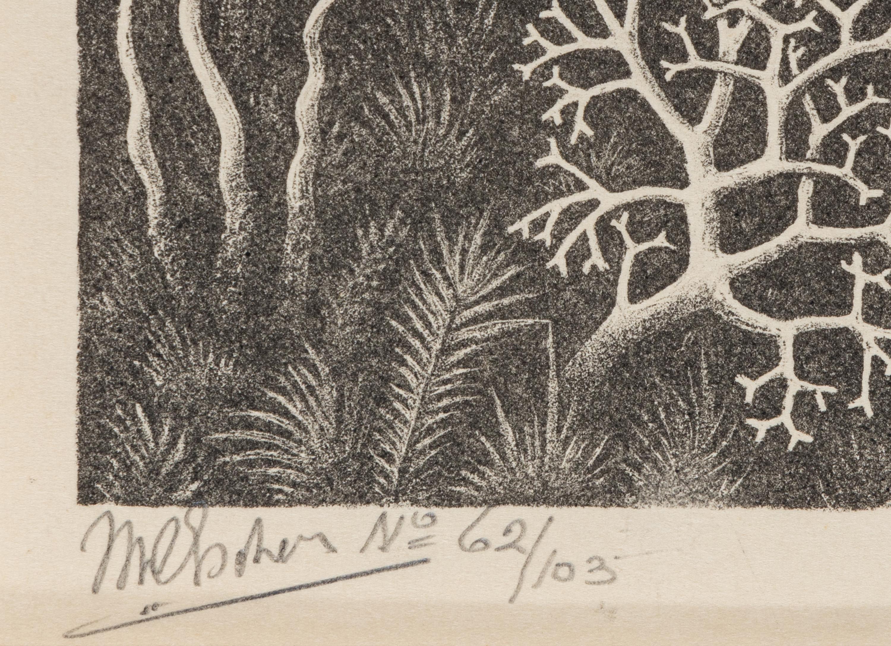 Waterfall , 1961