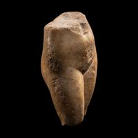 A Roman Marble Lower Torso of Venus