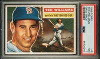 A 1956 Topps Ted Williams Baseball Card No. 5 (PSA 7 NM) Gray Back
