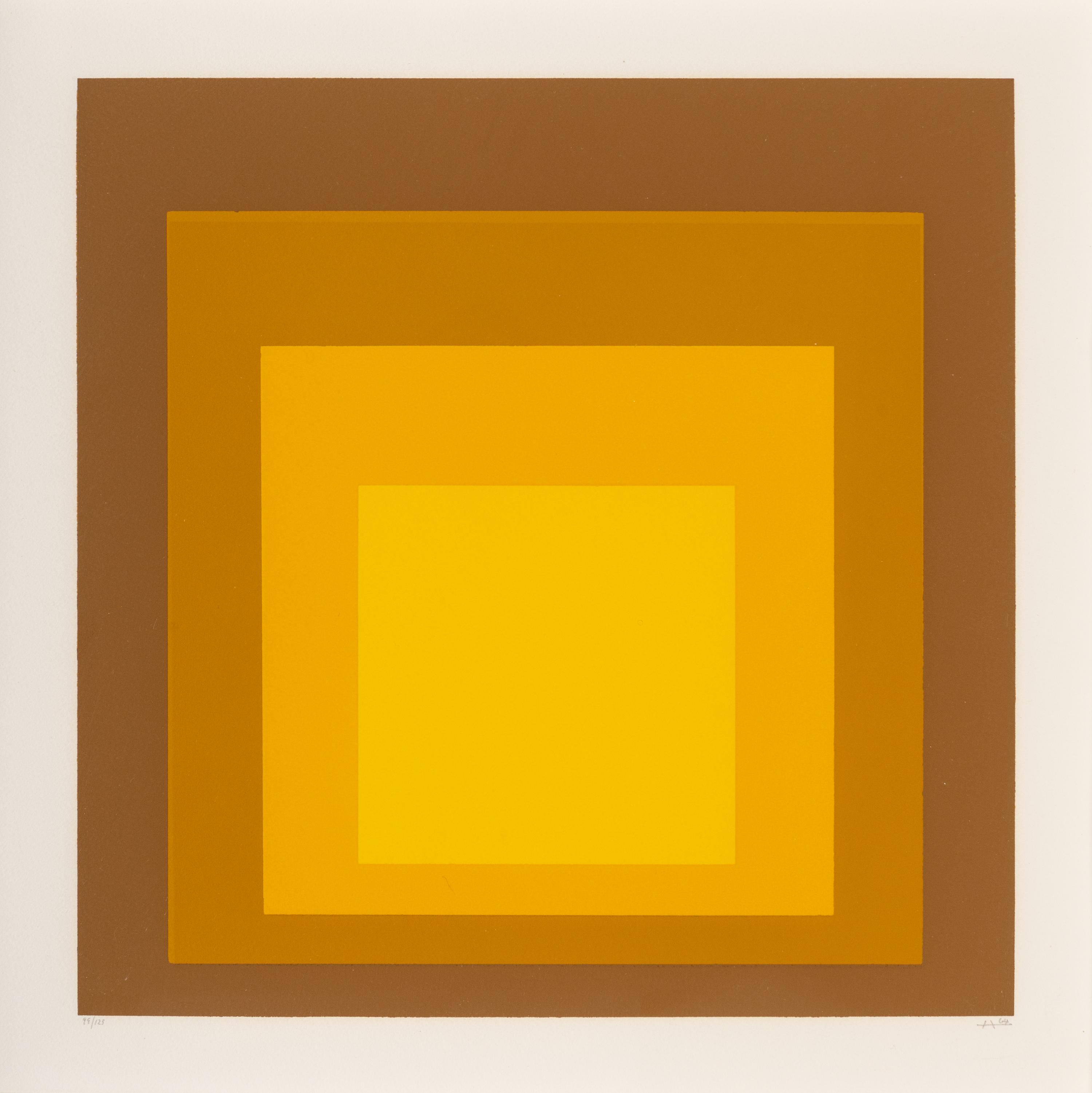 Untitled (from Hommage au carré )