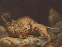 James Ward & Co. A Lion and Tiger Fighting Handcolored Mezzotint