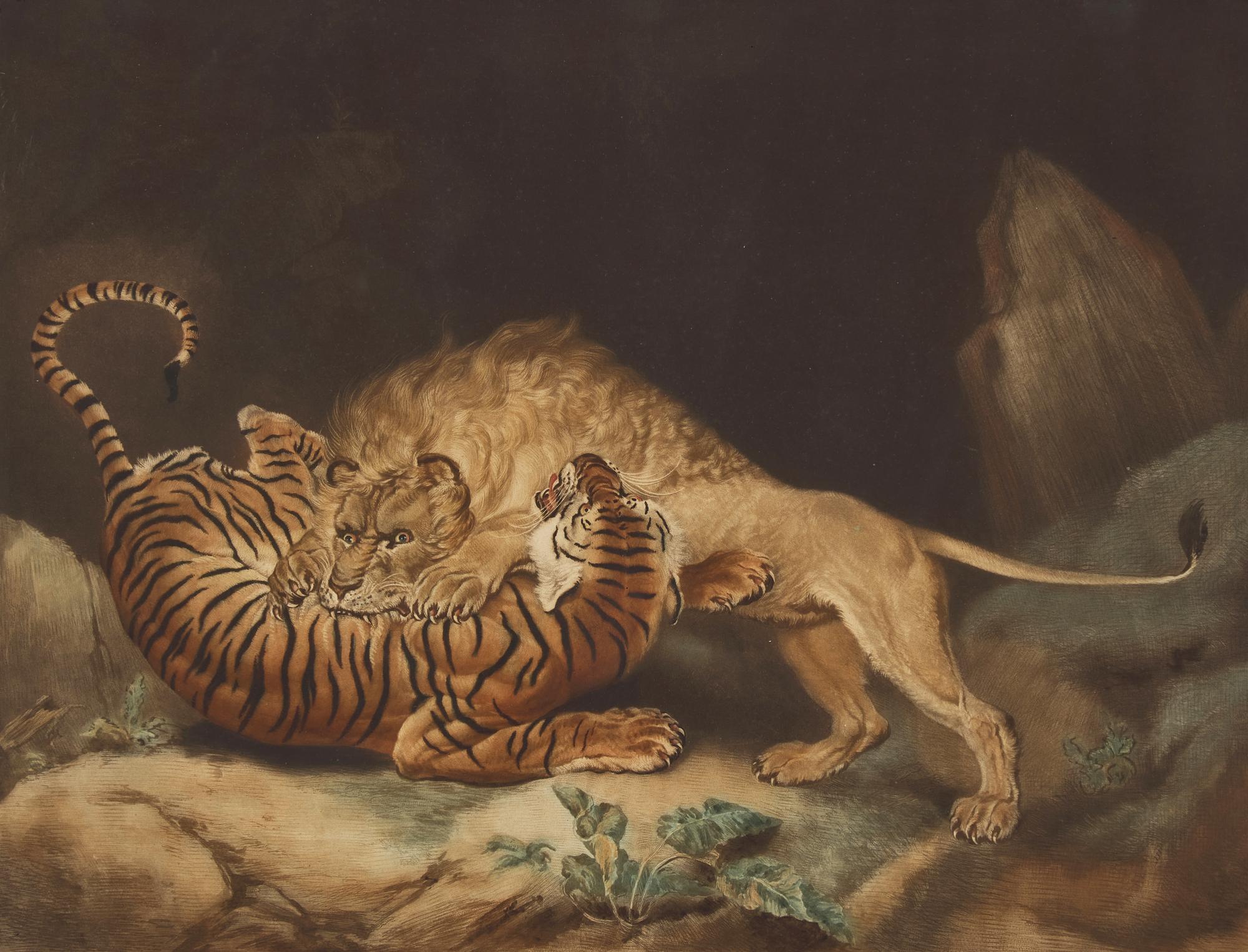 James Ward & Co. A Lion and Tiger Fighting Handcolored Mezzotint