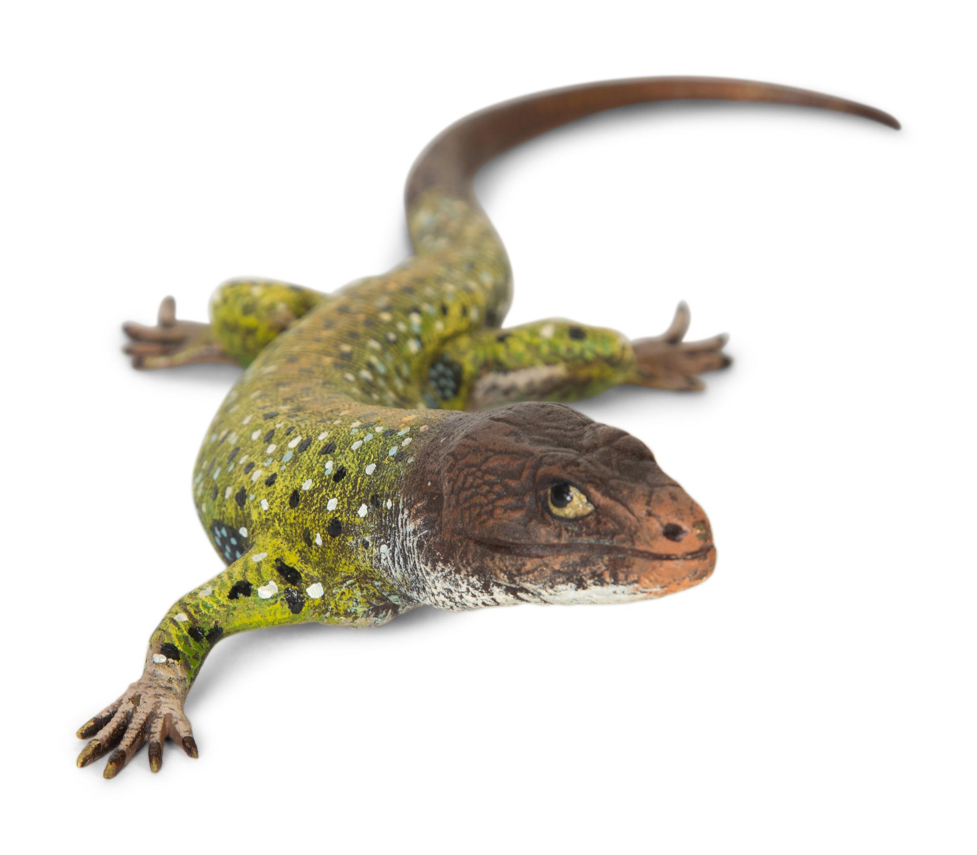 A Bergmann Austrian Cold-Painted Bronze Figure of a Lizard — 19th/20th Century