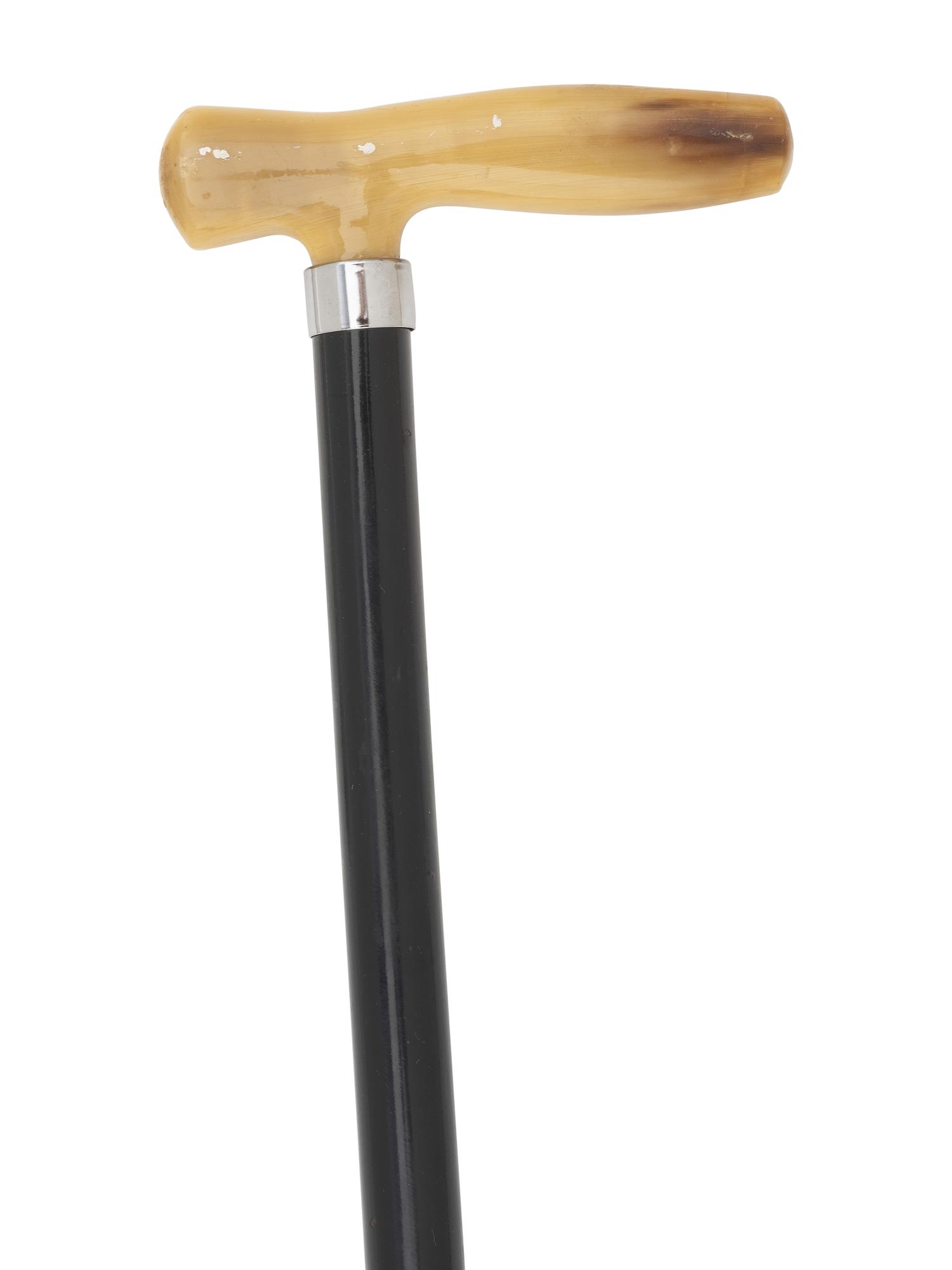 Seven Walking Sticks