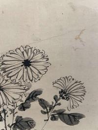Chen Zun 陈遵 菊图 (Chinese)