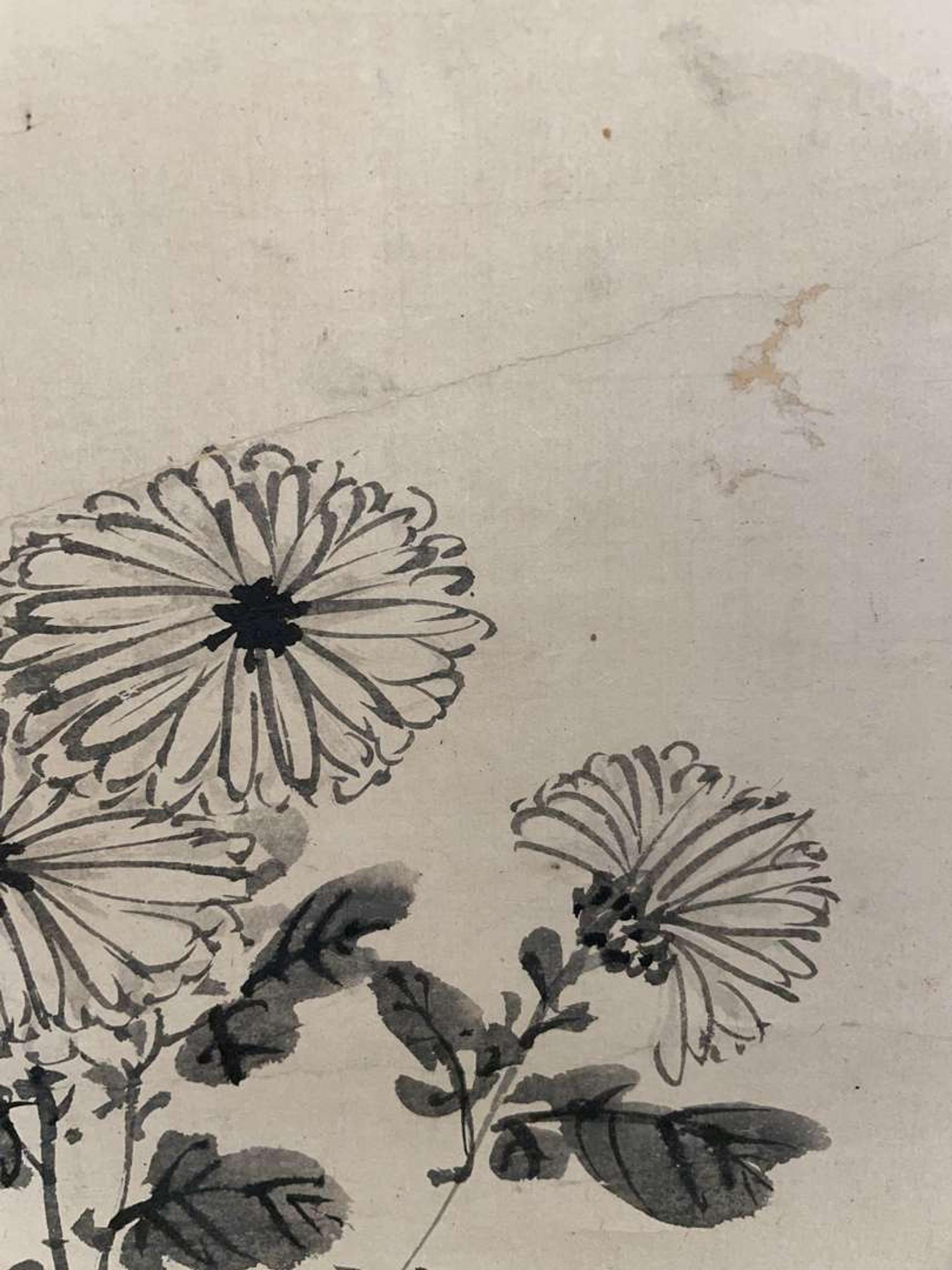 Chen Zun 陈遵 菊图 (Chinese)