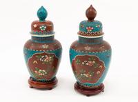 A Pair of Chinese Cloisonné over Porcelain Jars with Wood Bases