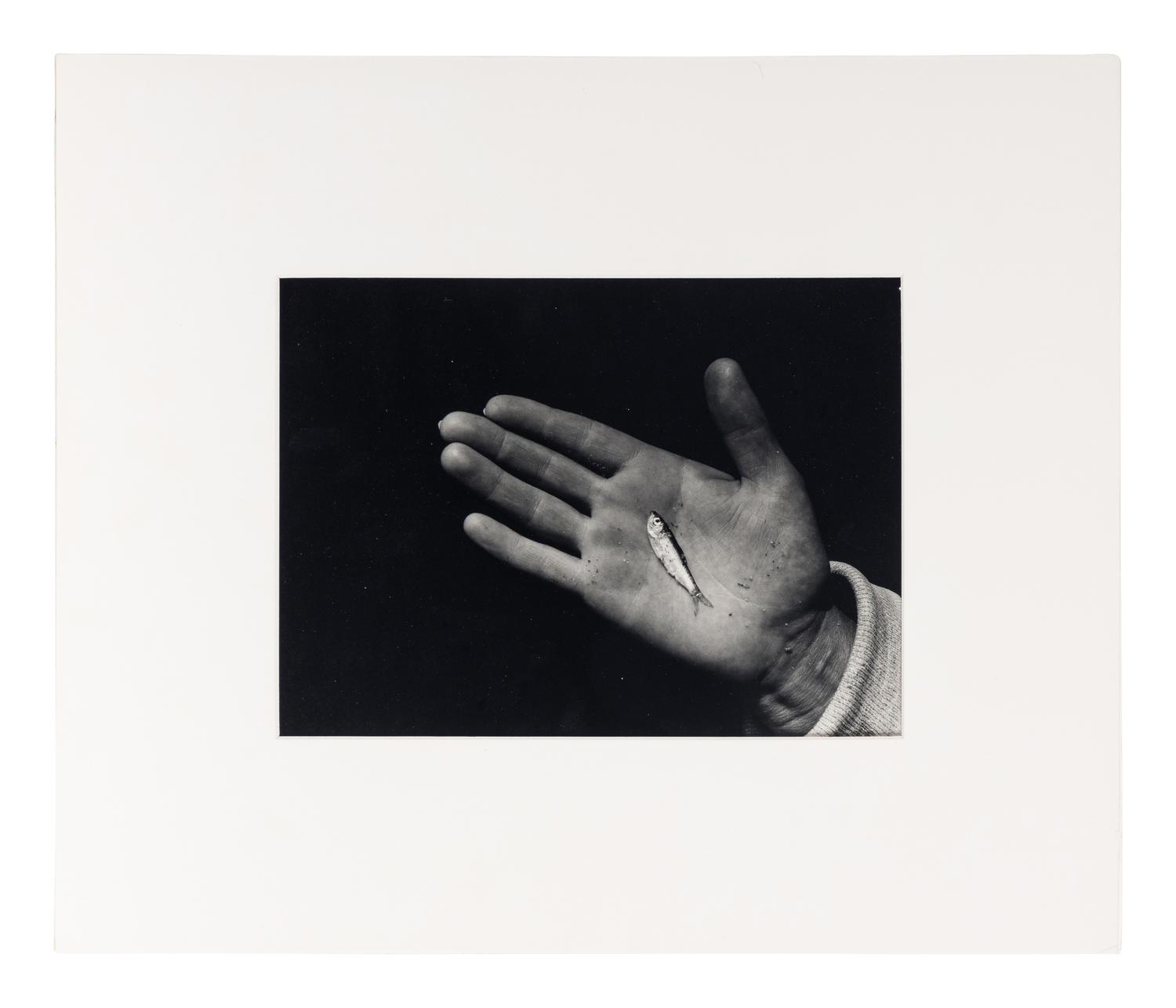 Martha's Vineyard (Hand with Minnow)