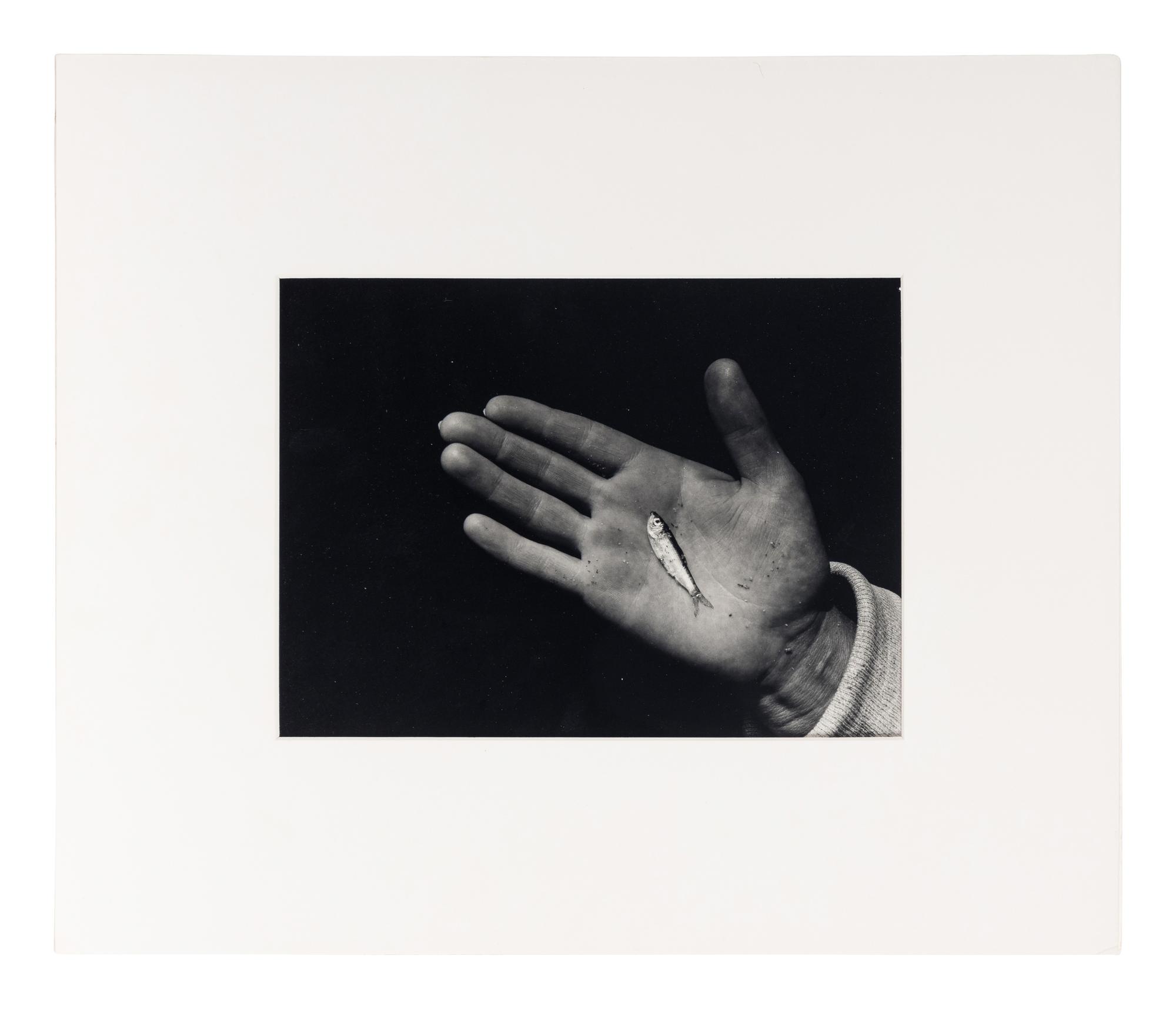 Martha's Vineyard (Hand with Minnow)