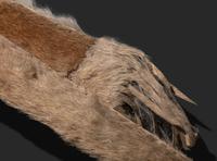 Comanche Mountain Lion Bowcase and Quiver
