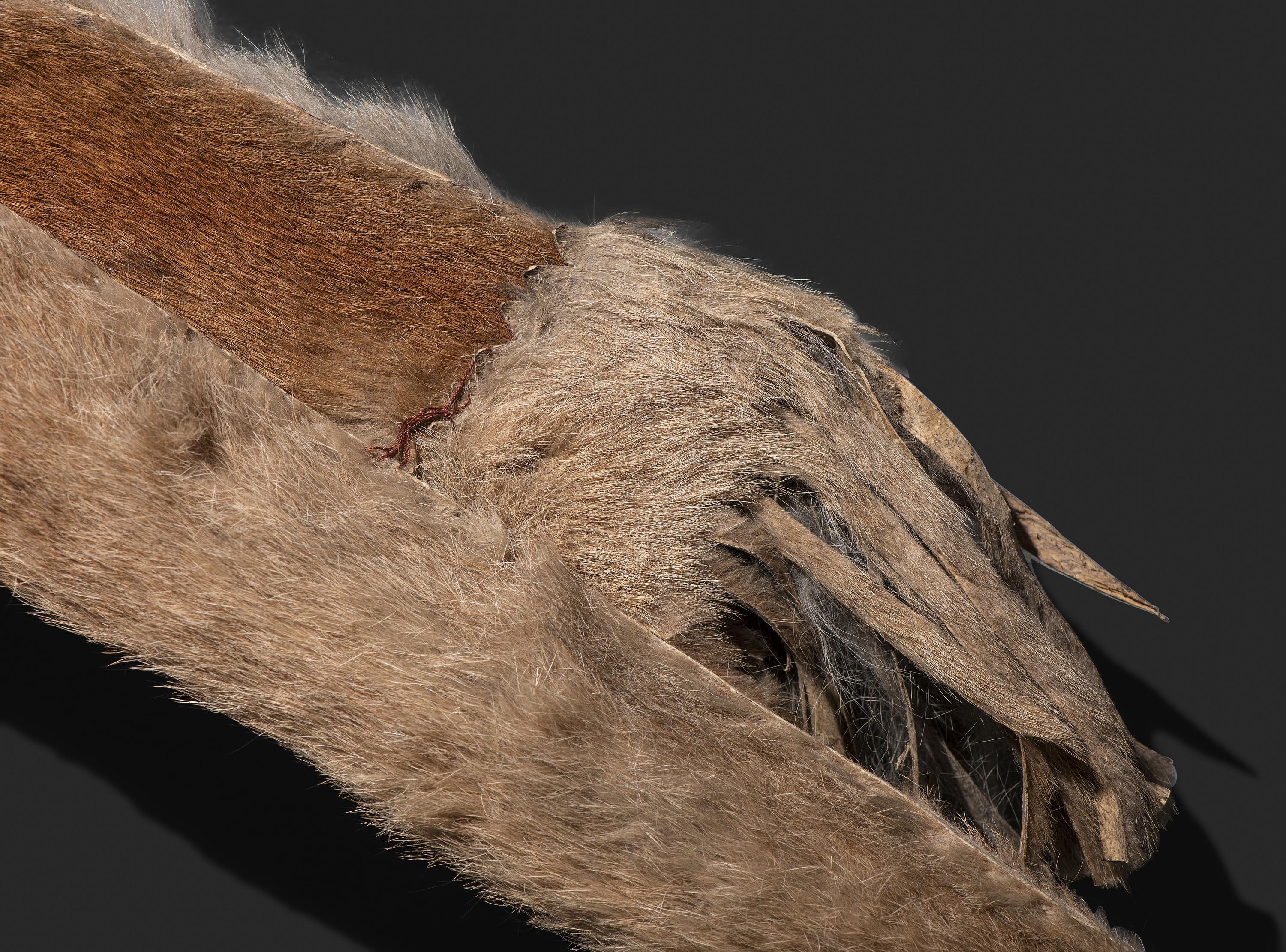Comanche Mountain Lion Bowcase and Quiver