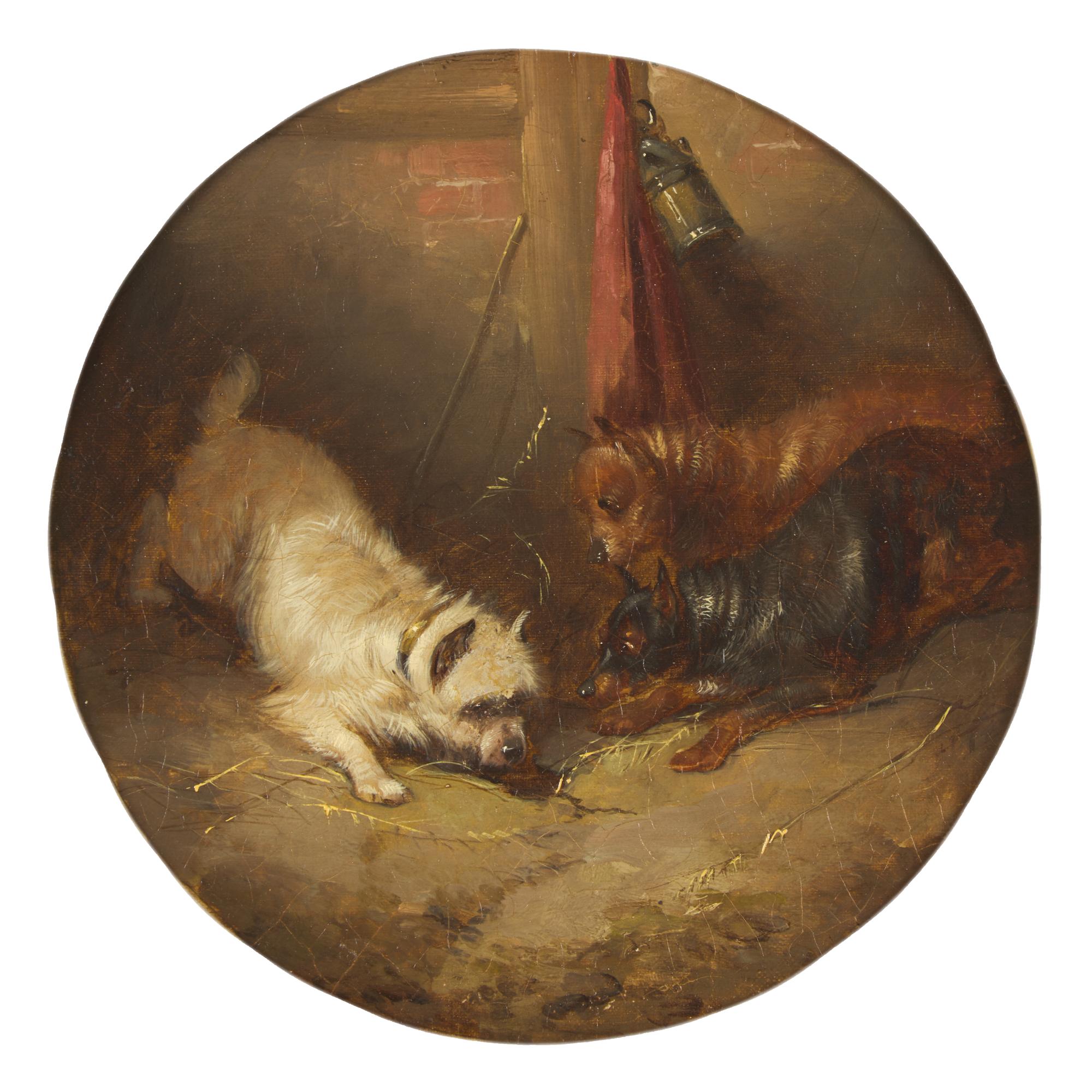Attributed to George Armfield (British, born c. 1808-1893) — Three Dogs (Roundel)