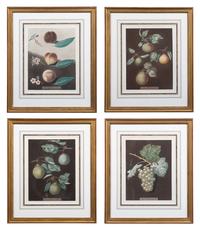 Four Botanical Aquatints by George Brookshaw (British, 1751-1823)