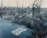 Helena, Arkansas, from Sleeping by the Mississippi , 2002