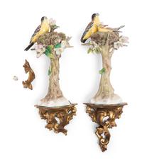 A Pair of Sitzendorf Porcelain Models of Birds with Giltwood Wall Brackets