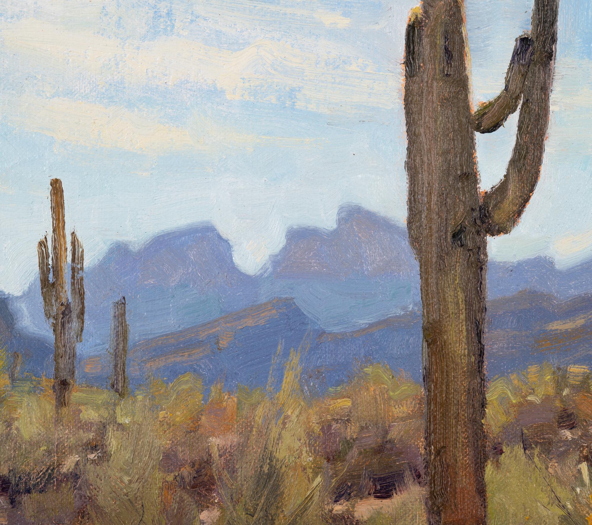 Bulldog Canyon Sketch