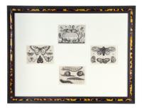 A Set of Twelve English Etchings, Wenceslaus Hollar (Bohemian, 1607-1677), Height 3 x width 4 1/2 inches (each).