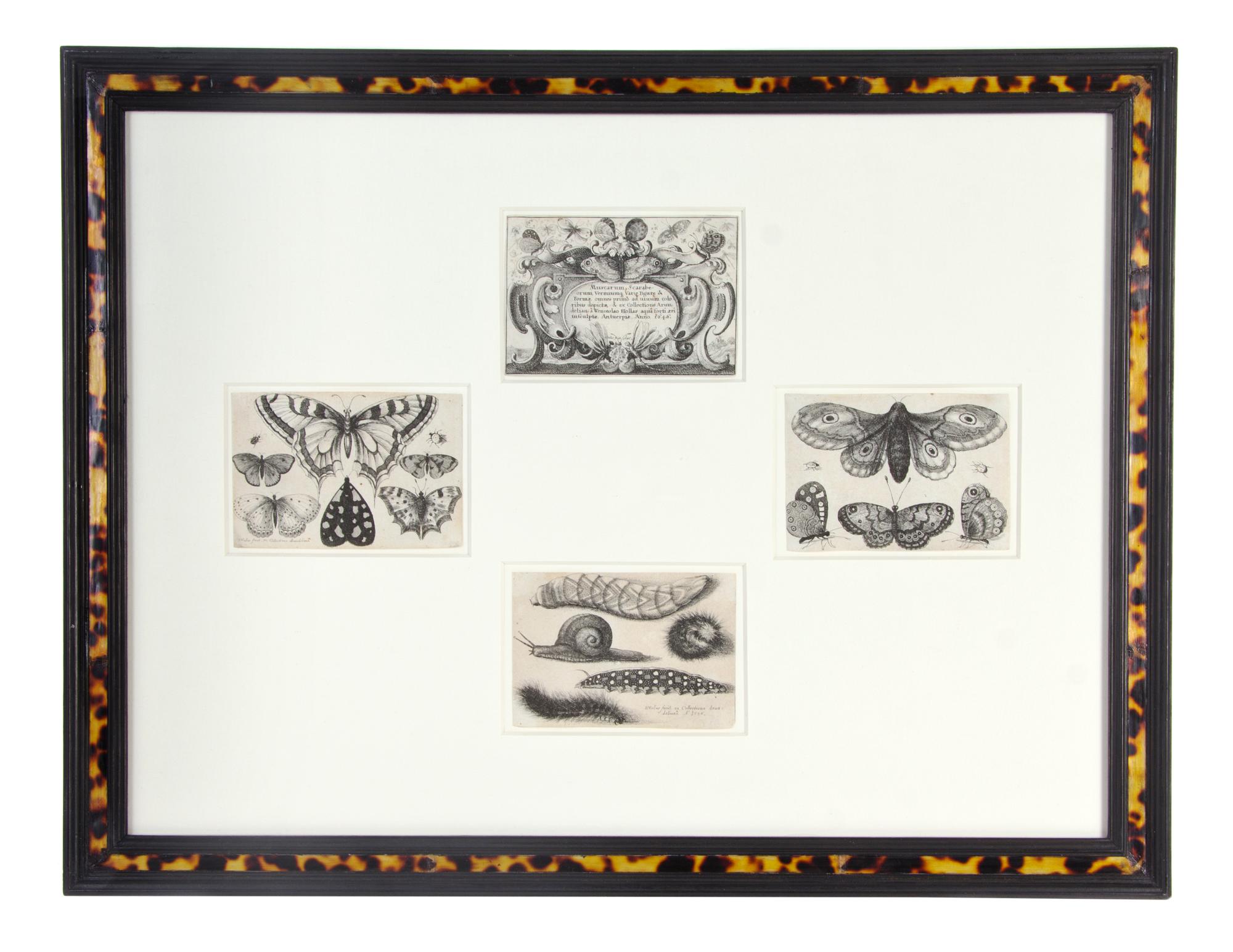 A Set of Twelve English Etchings, Wenceslaus Hollar (Bohemian, 1607-1677), Height 3 x width 4 1/2 inches (each).