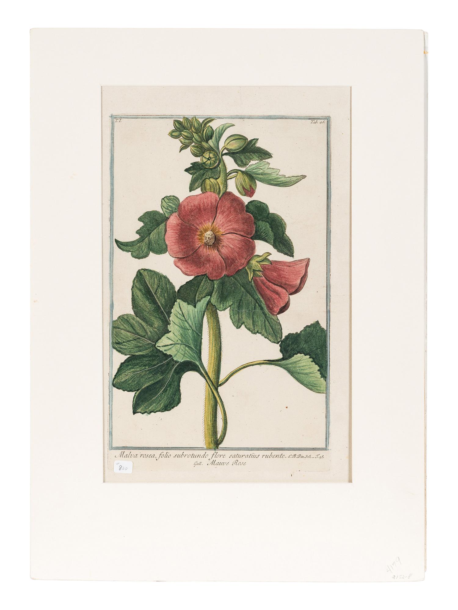Giorgio Bonelli (Italian, 1724-1782)