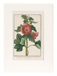 Giorgio Bonelli (Italian, 1724-1782)
