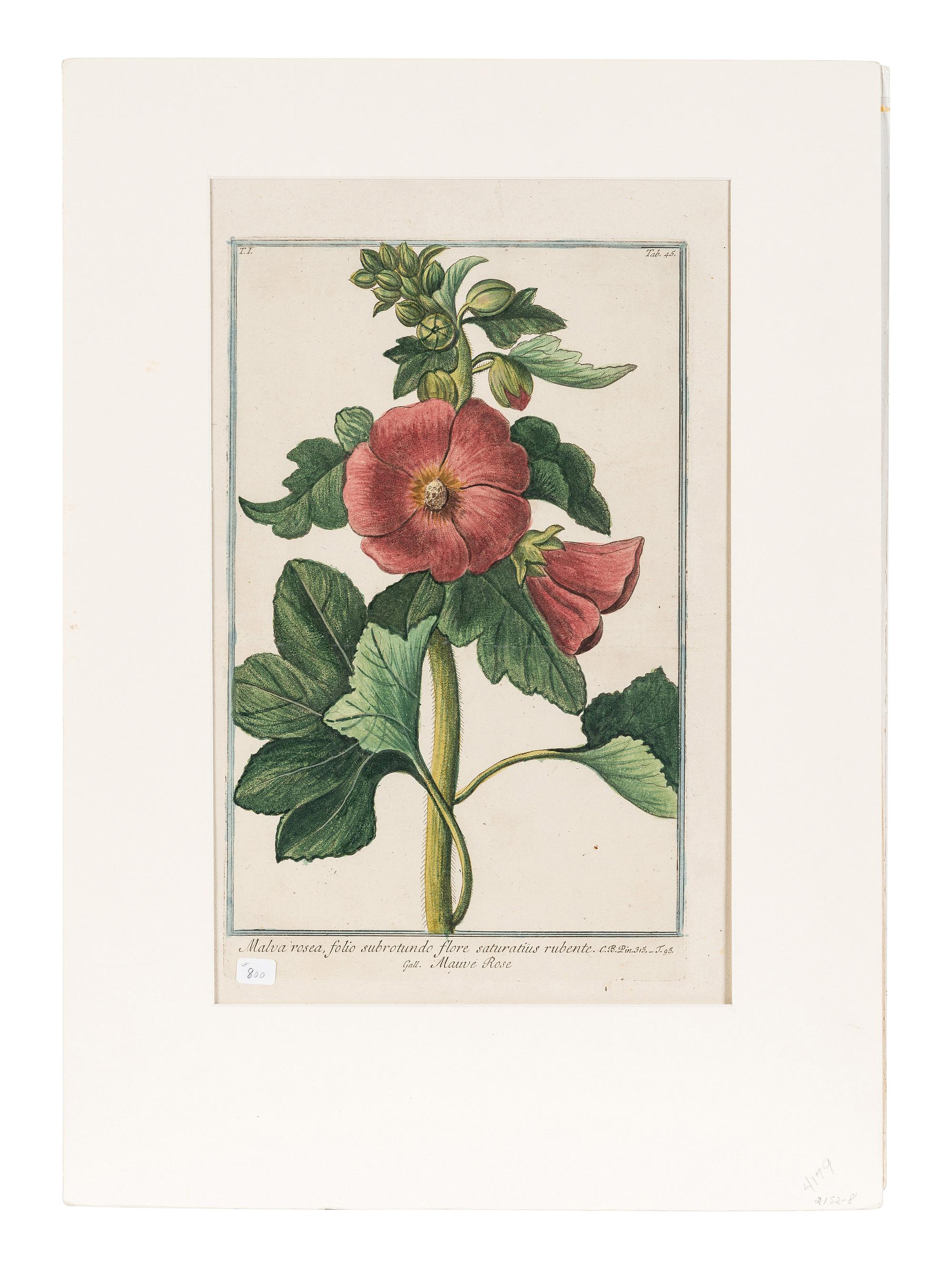 Giorgio Bonelli (Italian, 1724-1782)