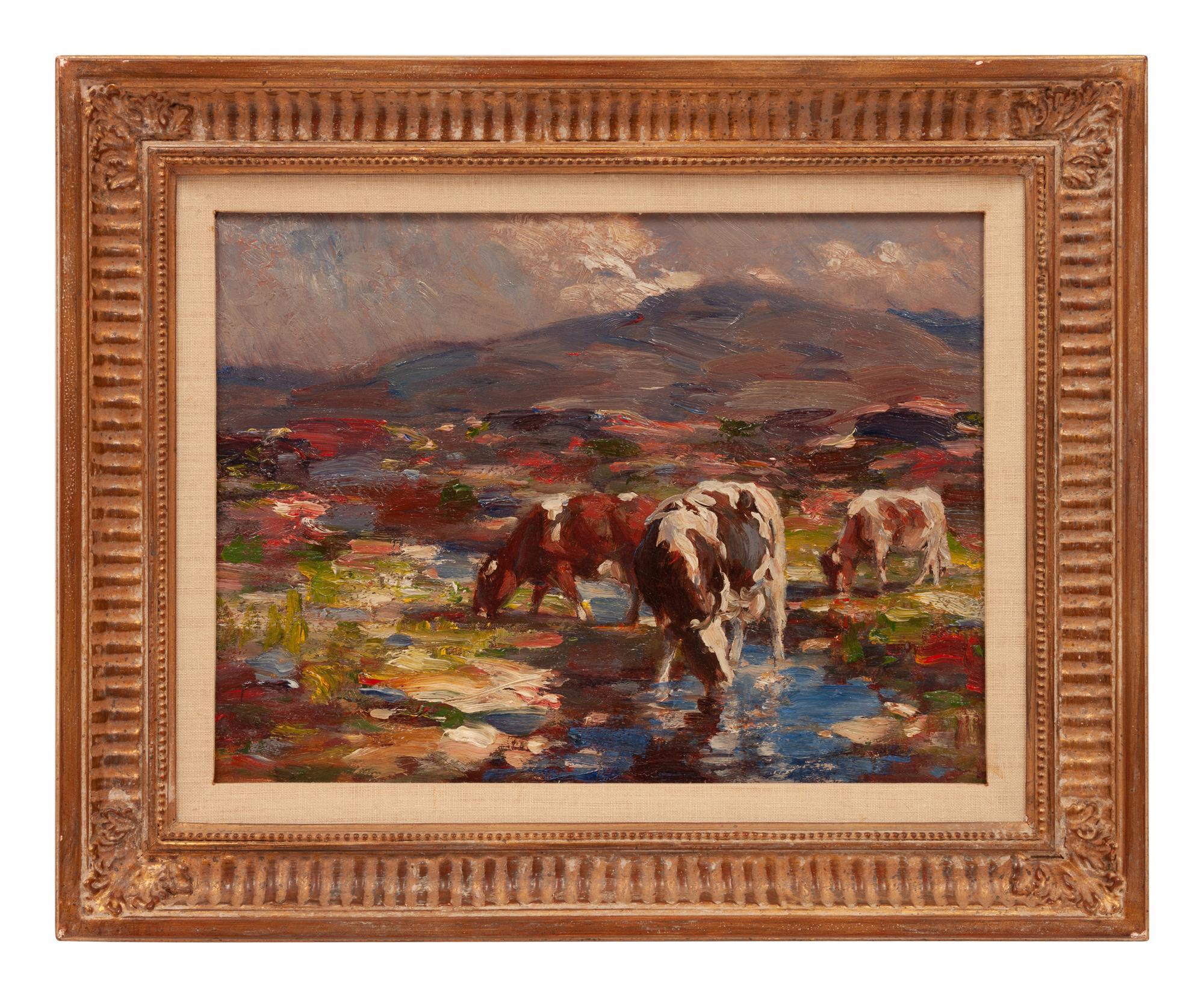 Cropers Cattle