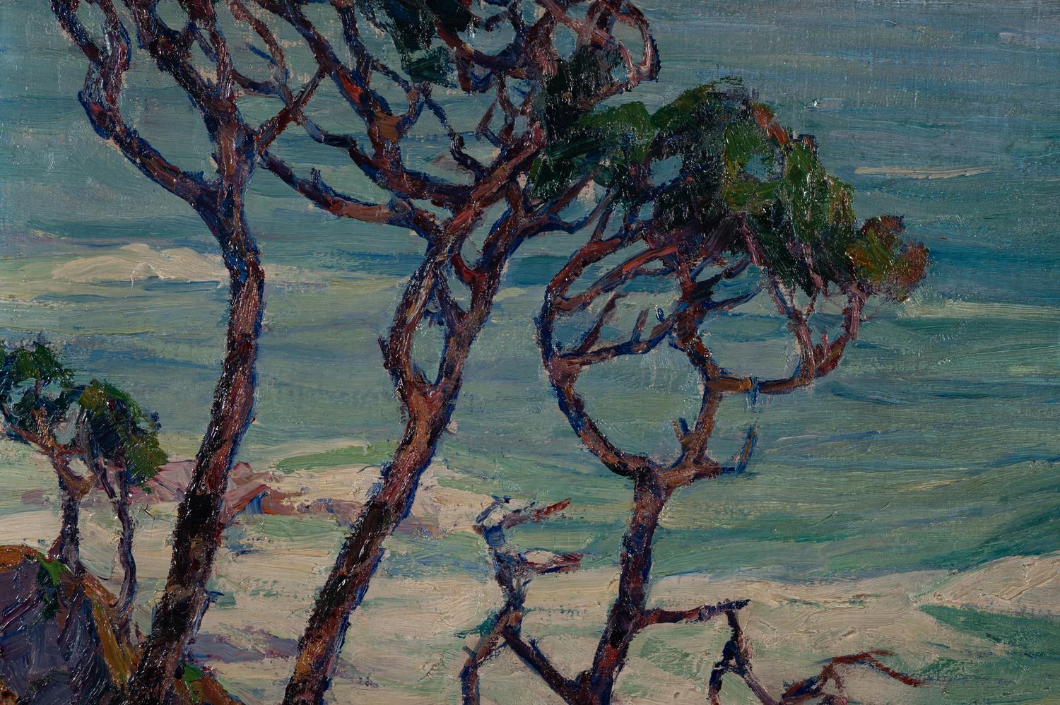 Trees and Surf, Pacific Coast