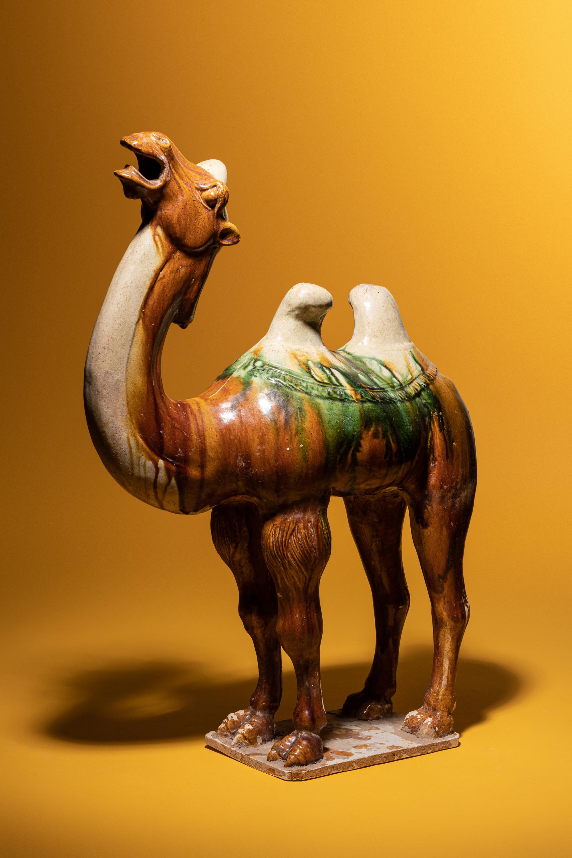 A Sancai Glazed Pottery Figure of a Camel