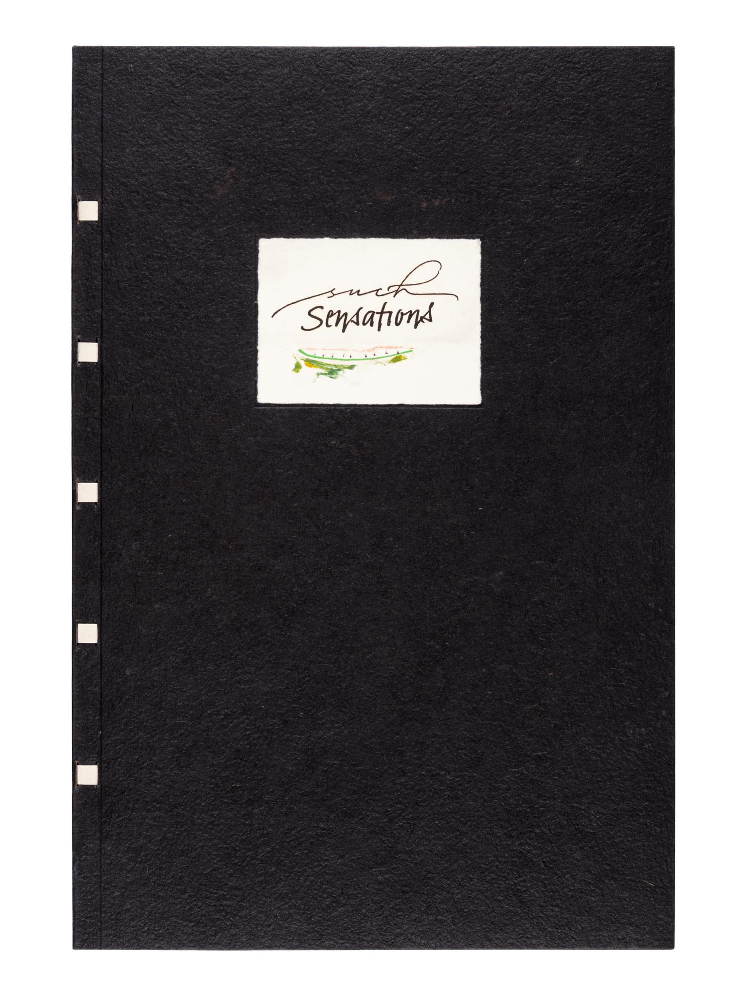 [LOGAN ELM PRESS]. GREEN, Louisa Bertch. Solche Sensationen/Such Sensations. Food & Philosophical Reflections of Chef Hubert Seifert . Ohio State University: Logan Elm Press, 2010.