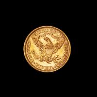 A United States 1893 Liberty Head $5 Gold Coin