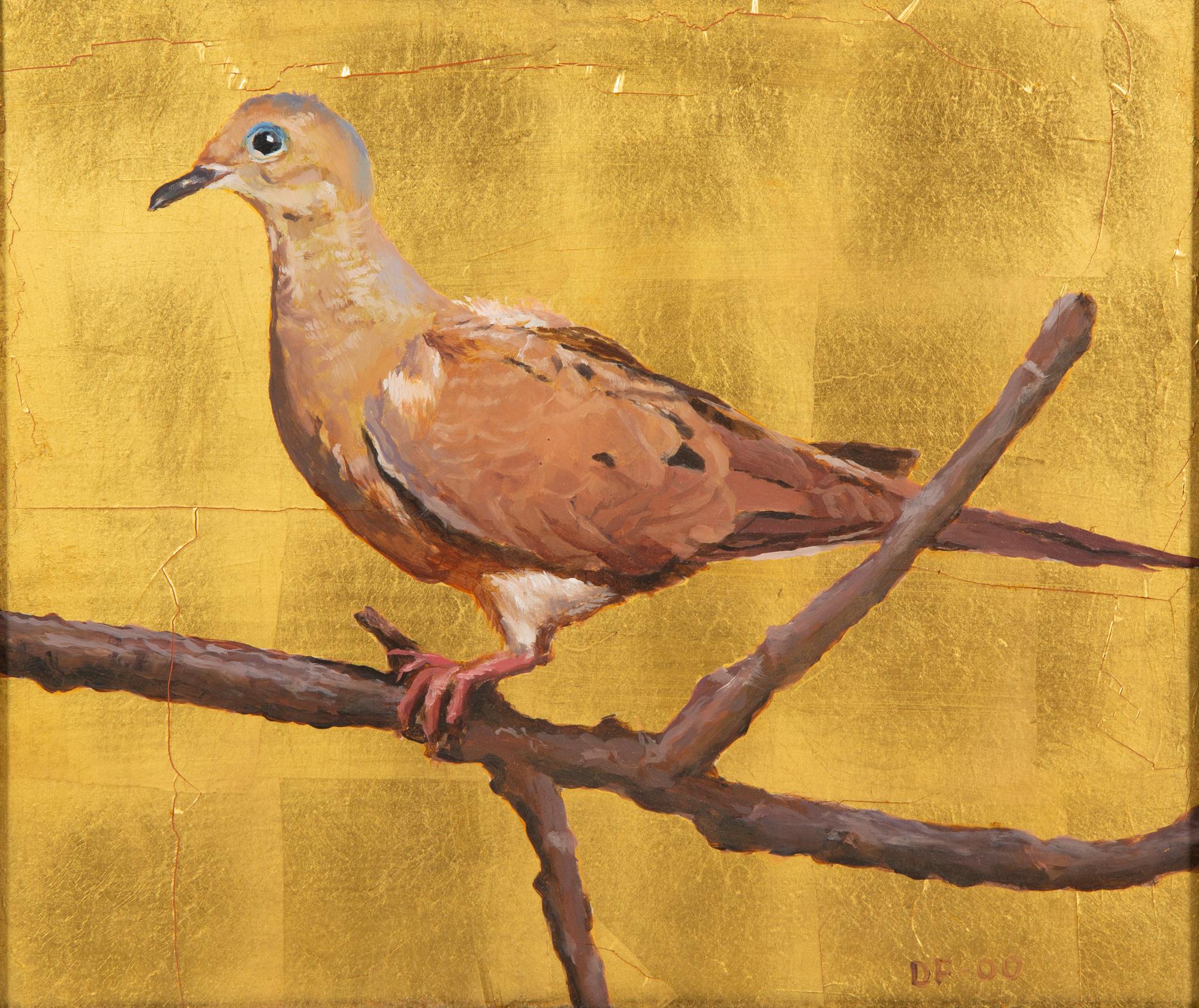 Wood Dove