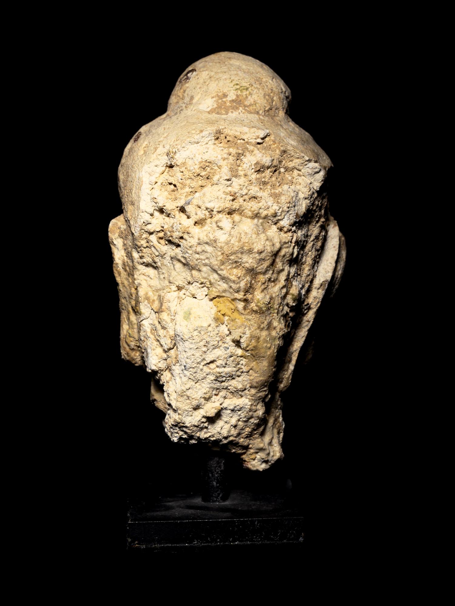 Four Gandharan Fragmentary Stucco Heads and One Bust