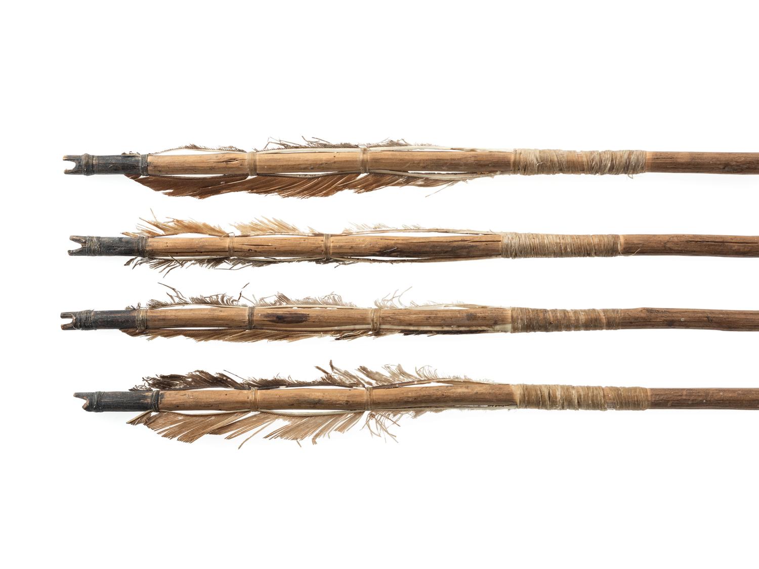 New Mexican Arrows