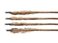 New Mexican Arrows