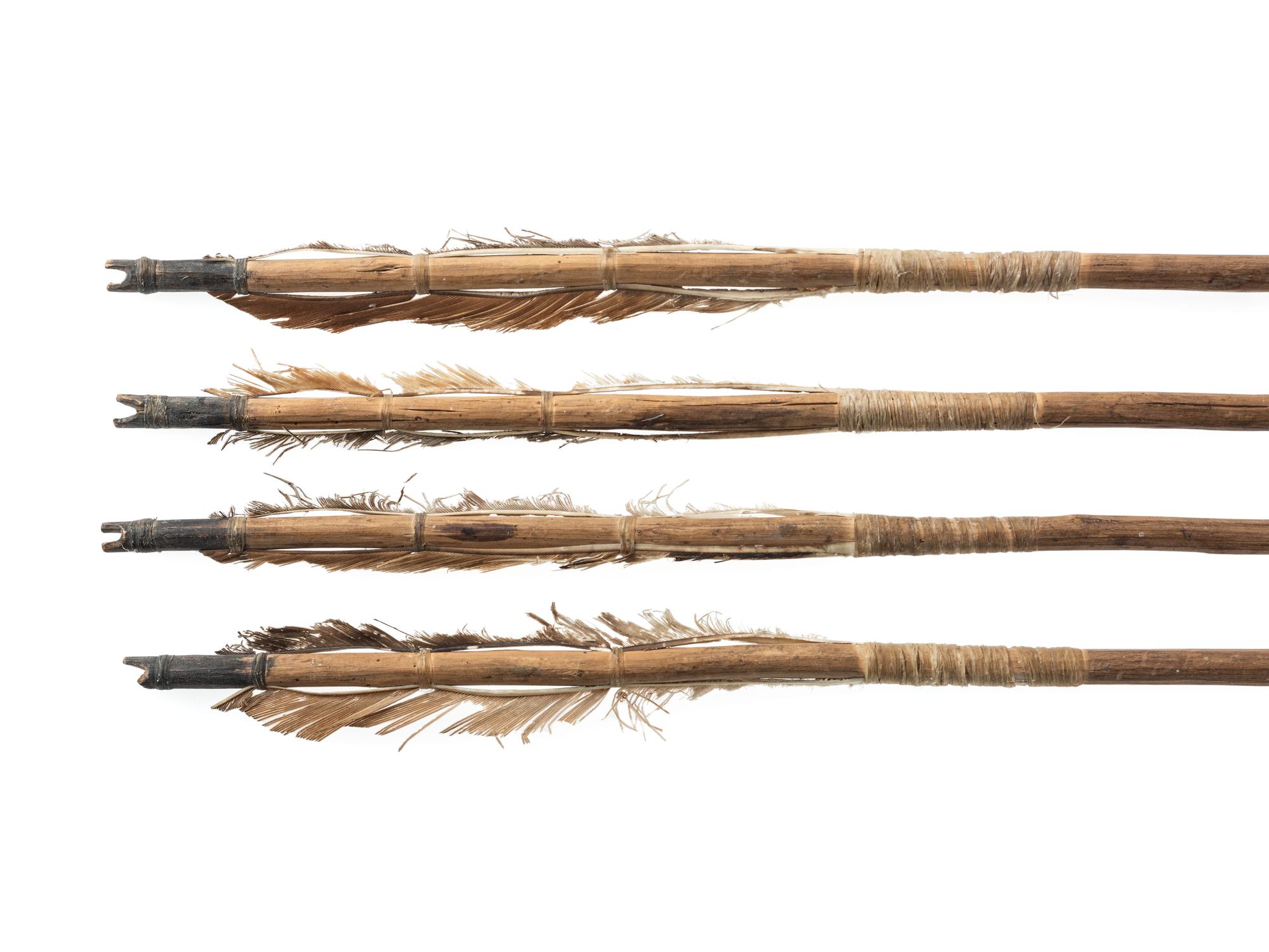 New Mexican Arrows