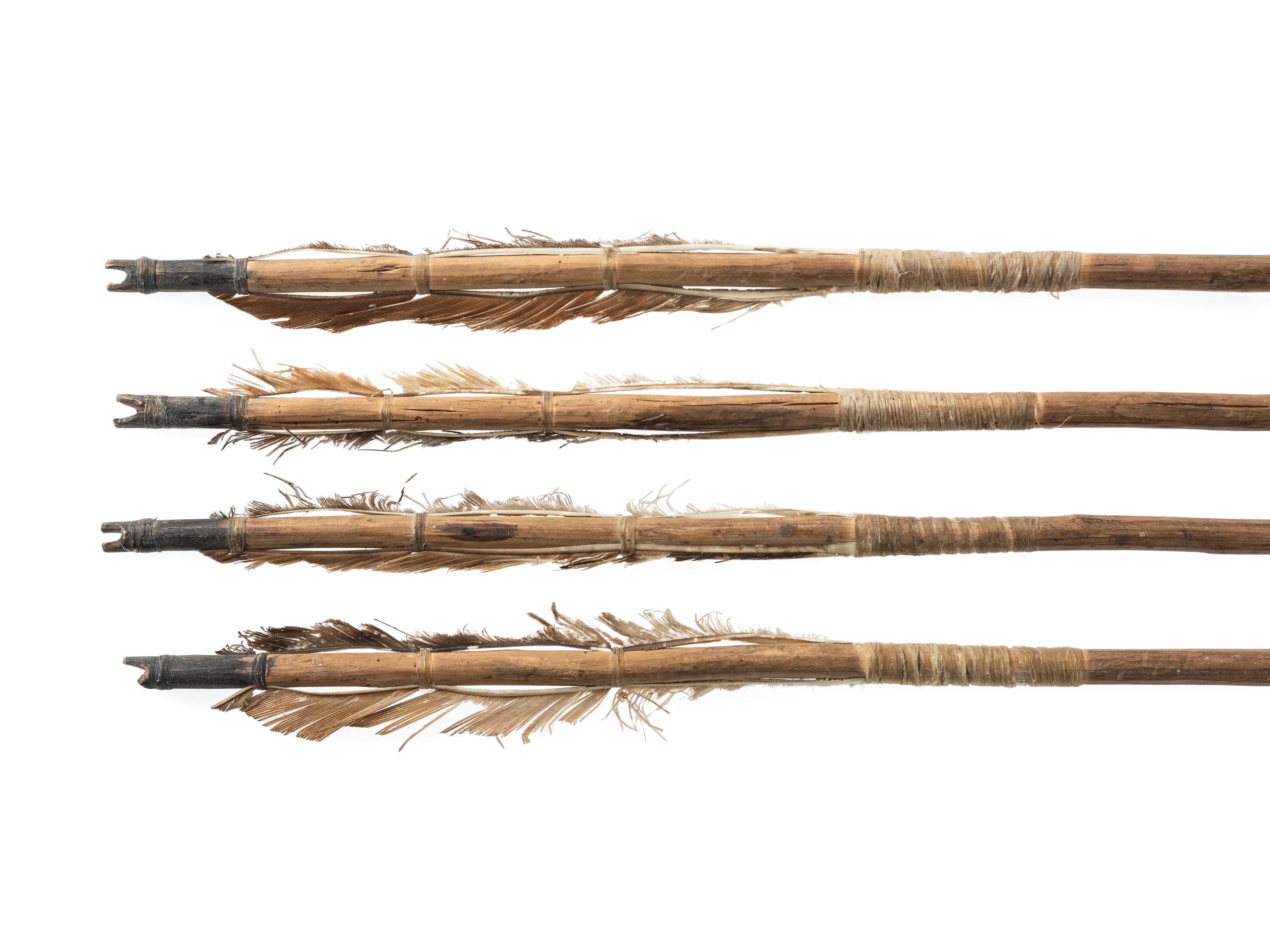 New Mexican Arrows