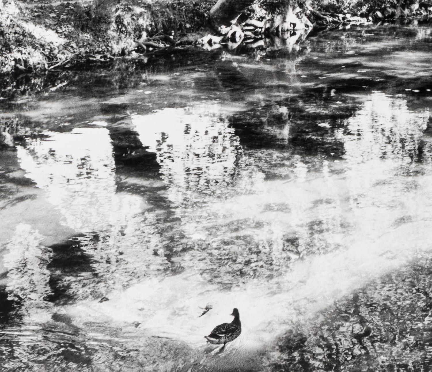 Henri Cartier-Bresson (1908-2004) L'Isle-sur-la-Sorgue, 1990