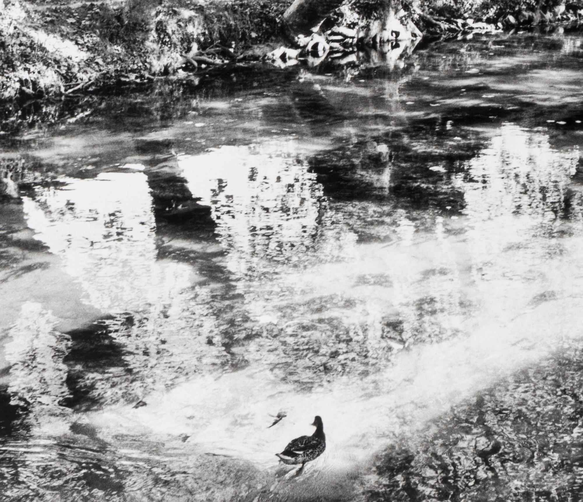 Henri Cartier-Bresson (1908-2004) L'Isle-sur-la-Sorgue, 1990