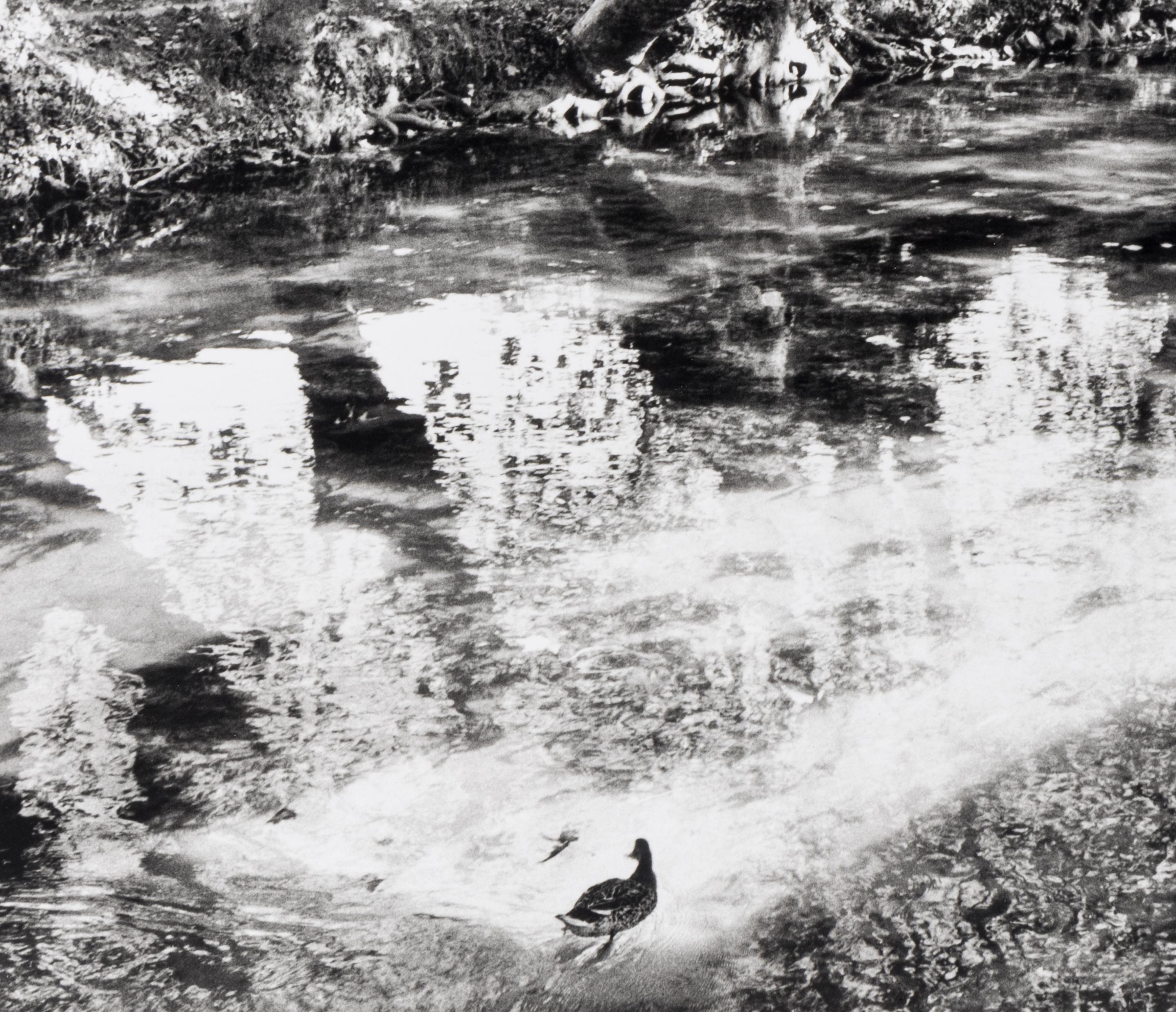 Henri Cartier-Bresson (1908-2004) L'Isle-sur-la-Sorgue, 1990