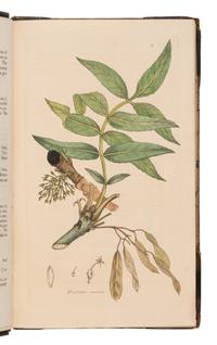 [Natural History] Sowerby, James and James Edward Smith. English Botany