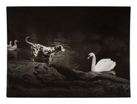 A pair of works depicting a dalmation with a swan and ducks, 1958-65; printed ca. 1958-65