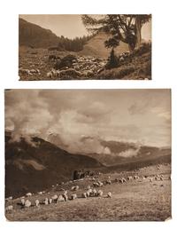 [WESTERN AMERICANA]. BELDEN, Charles J. (1888-1963), photographer. A group of 6 photographs of sheep herds in Wyoming. Pitchfork Ranch, WY, ca 1910s-1940s.