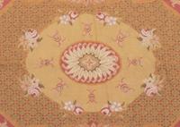 An Aubusson Style Needlepoint Rug