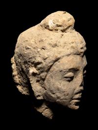 Five Gandharan Fragmentary Stucco Heads