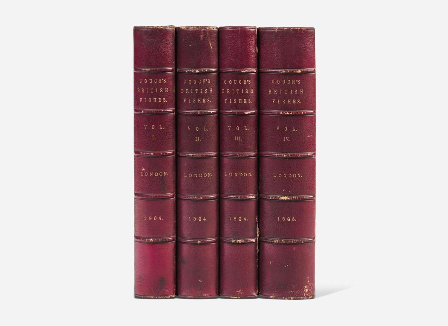 [Fishing] Couch, Jonathan: A History of the Fishes of the British Islands