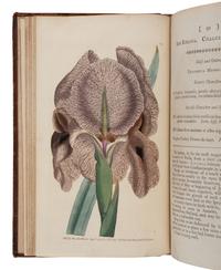 [NATURAL HISTORY]. CURTIS, William (1746-1799) and others. The Botanical Magazine, or, Flower-Garden Displayed... London: Stephen Couchman; W. Curtis, et al, 1797-1816