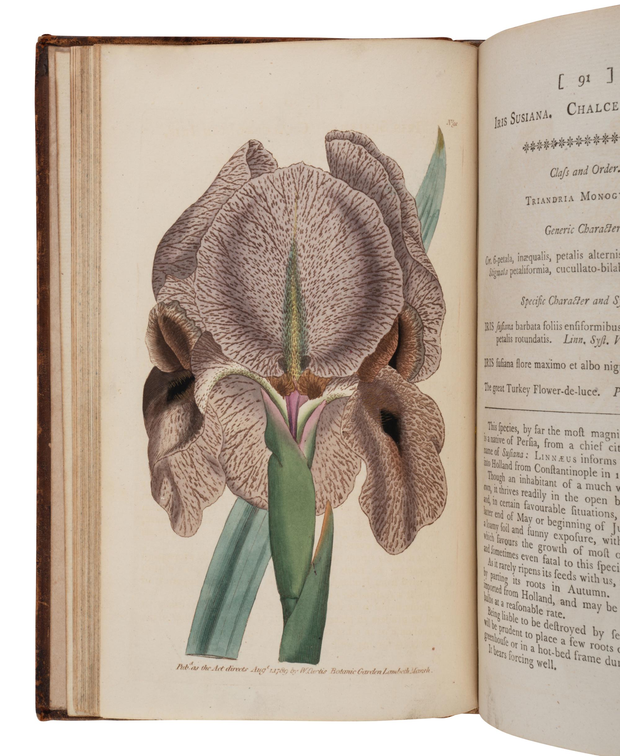 [NATURAL HISTORY]. CURTIS, William (1746-1799) and others. The Botanical Magazine, or, Flower-Garden Displayed... London: Stephen Couchman; W. Curtis, et al, 1797-1816