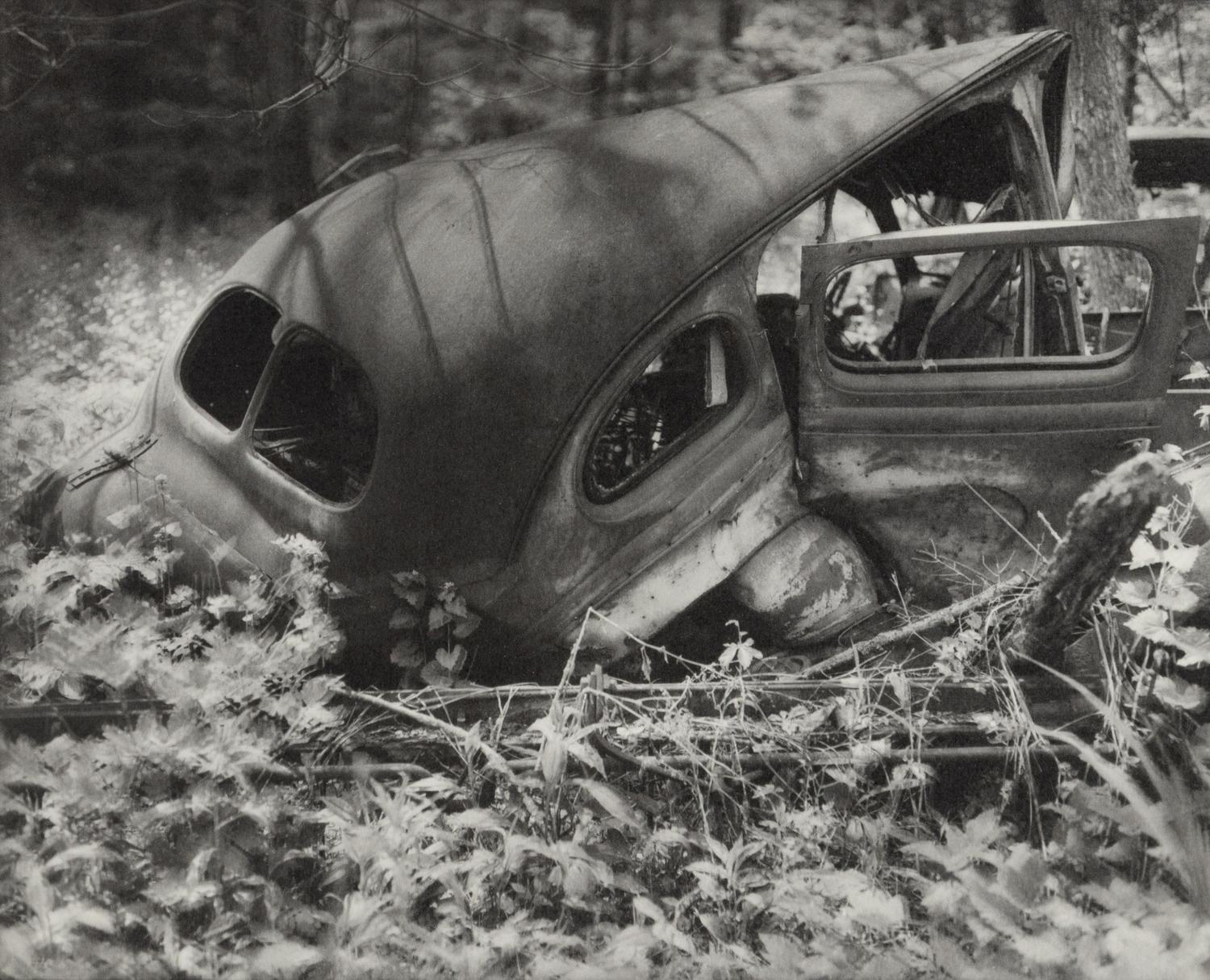 A group of fourteen photographs