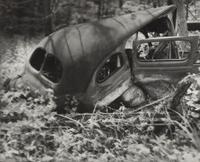 A group of fourteen photographs