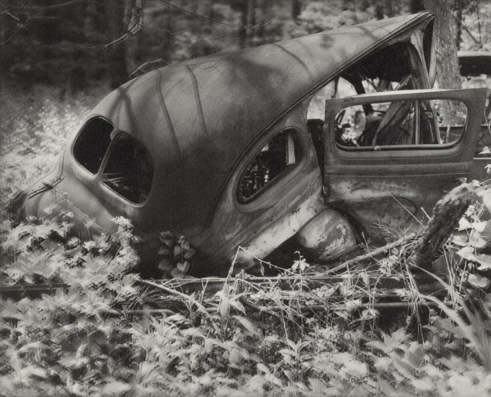 A group of fourteen photographs
